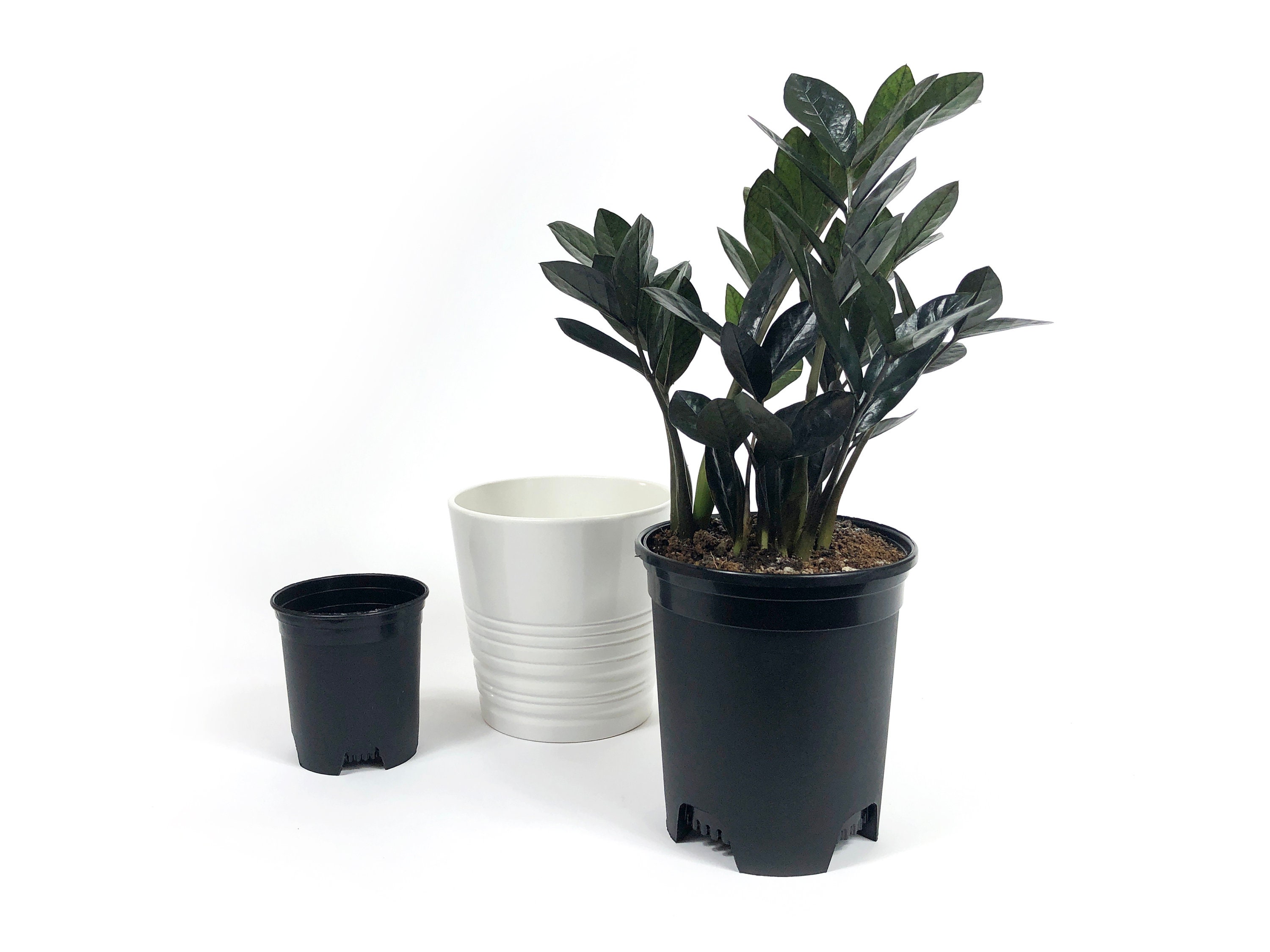 Arabian Ilona Plant Pot Cover 3.9 x 4.7 inches (100 x 120 mm
