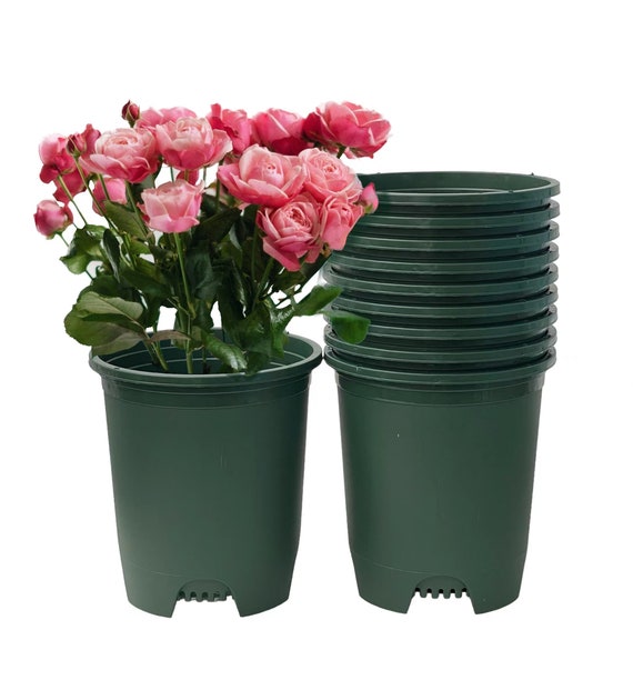 outdoor plastic plant pots Viagrow 20-Gallon Round Nursery Garden Pots