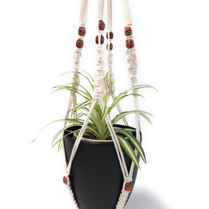 May include: A white macrame plant hanger with brown wooden beads, holding a black pot with a green plant.