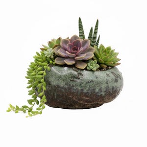 Premium Shallow Succulent Planter Pot, Ceramic with Decorative Patina Glaze, Kitchen, Living Room, and Home Decor afbeelding 8