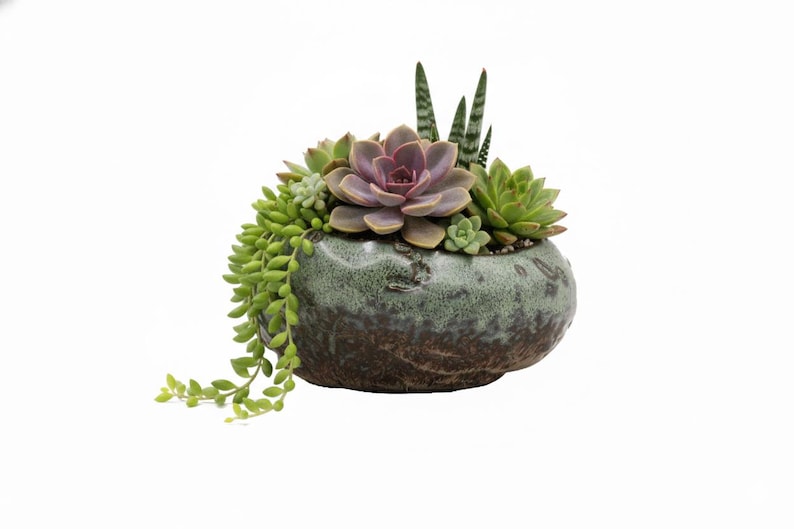 Premium Shallow Succulent Planter Pot, Ceramic with Decorative Patina Glaze, Kitchen, Living Room, and Home Decor afbeelding 8