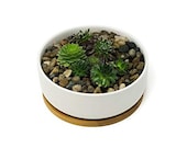 Large Round Succulent Planter Pot 6 quot White Shallow Ceramic Bowl with Drainage Hole and Bamboo Saucer