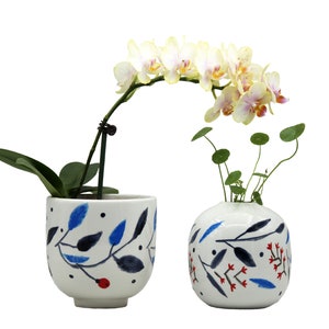 May include: Two white ceramic planters with blue and red floral designs. One planter holds a white orchid with green leaves, and the other holds a green plant with round leaves.