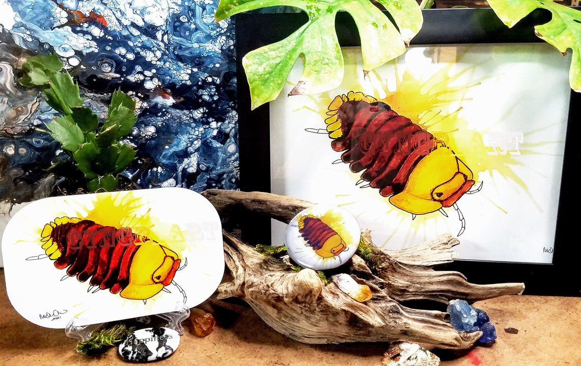 Rubber Ducky Isopod Watercolor Print 8.5 X 11 Etsy