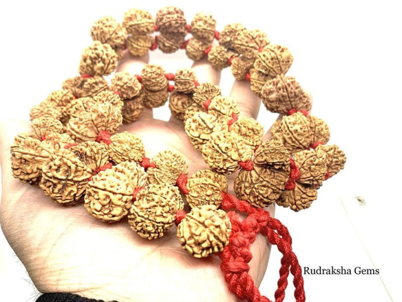 Gauri Shankar Rudraksha Mala Kantha Natural twin Beads Etsy