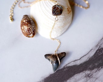 Gold-filled Drop Necklace with Shark Tooth and Abalone Shell