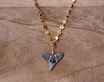 Shark tooth on a Gold-filled Coin Chain Necklace