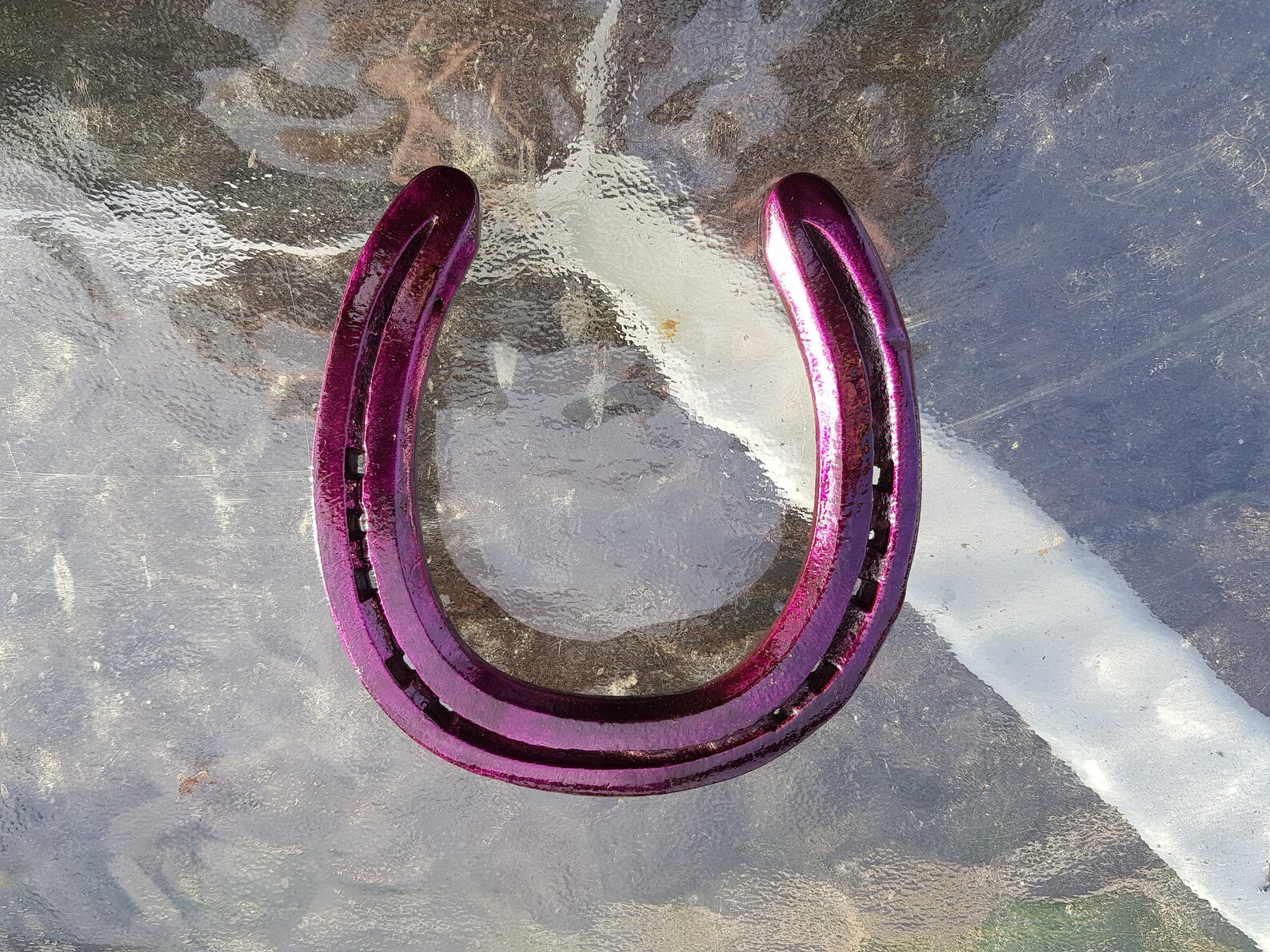 Purple Painted Horseshoes Etsy