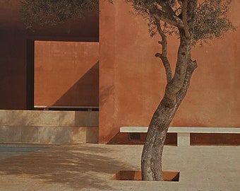 El libro esencial del jardín