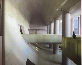 nueva arquitectura china
