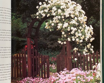 Jardinería de rosas exitosa
