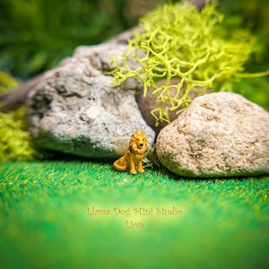 K&ouml;nnte beinhalten: Eine kleine, gelbe L&ouml;wenfigur, die auf einer gr&uuml;nen Oberfl&auml;che mit Steinen und Moos im Hintergrund sitzt. Die Figur ist aus Kunststoff und hat ein detailliertes Design. Der Text "Llama Dog Mini Studio Lion" ist unten in der Mitte des Bildes sichtbar.