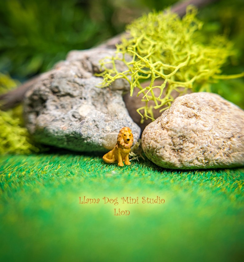 K&ouml;nnte beinhalten: Eine kleine, gelbe L&ouml;wenfigur, die auf einer gr&uuml;nen Oberfl&auml;che mit Steinen und Moos im Hintergrund sitzt. Die Figur ist aus Kunststoff und hat ein detailliertes Design. Der Text "Llama Dog Mini Studio Lion" ist unten in der Mitte des Bildes sichtbar.
