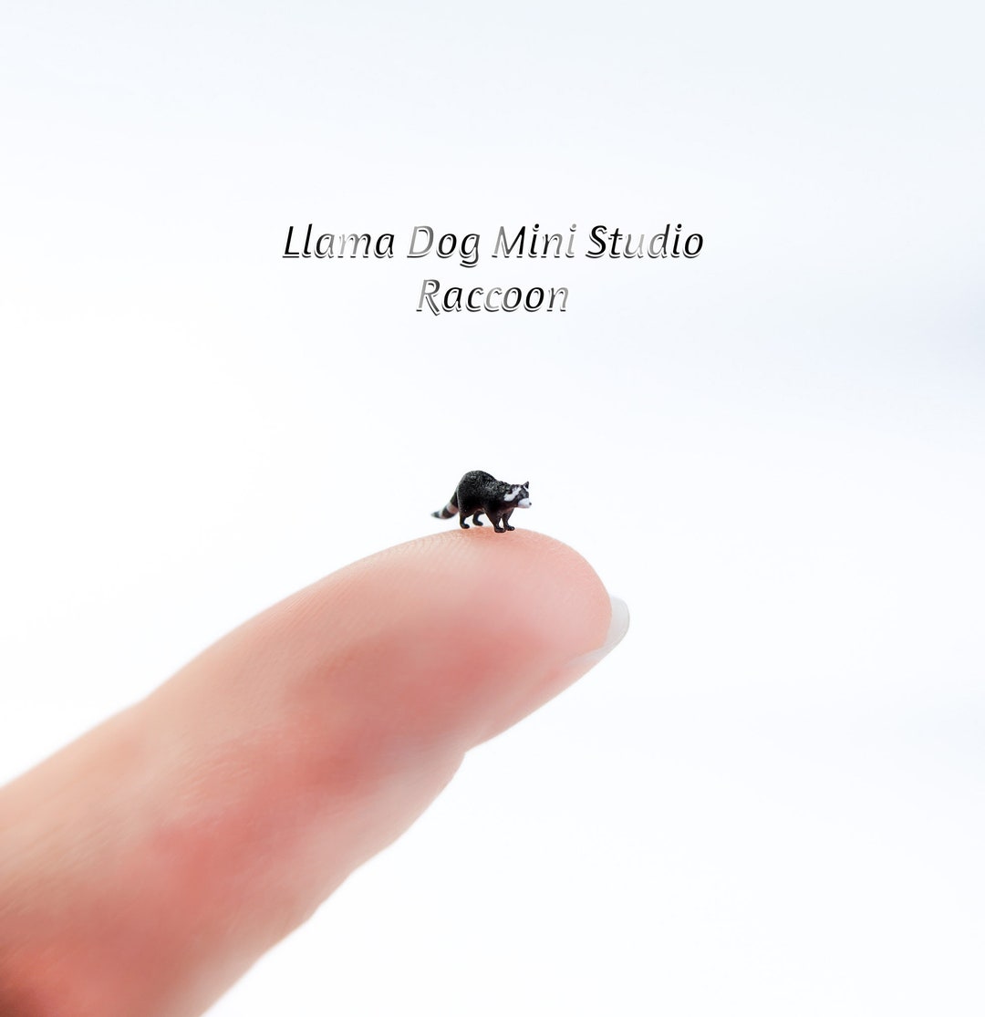 Mini Raccoon Raccoon Micro Miniature (3mm - 1/8