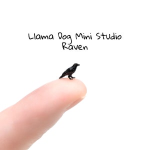 Könnte beinhalten: Eine kleine schwarze Rabenfigur, die auf einem Finger sitzt. Die Figur ist Teil einer Miniatur-Studio-Kollektion namens "Llama Dog Mini Studio".