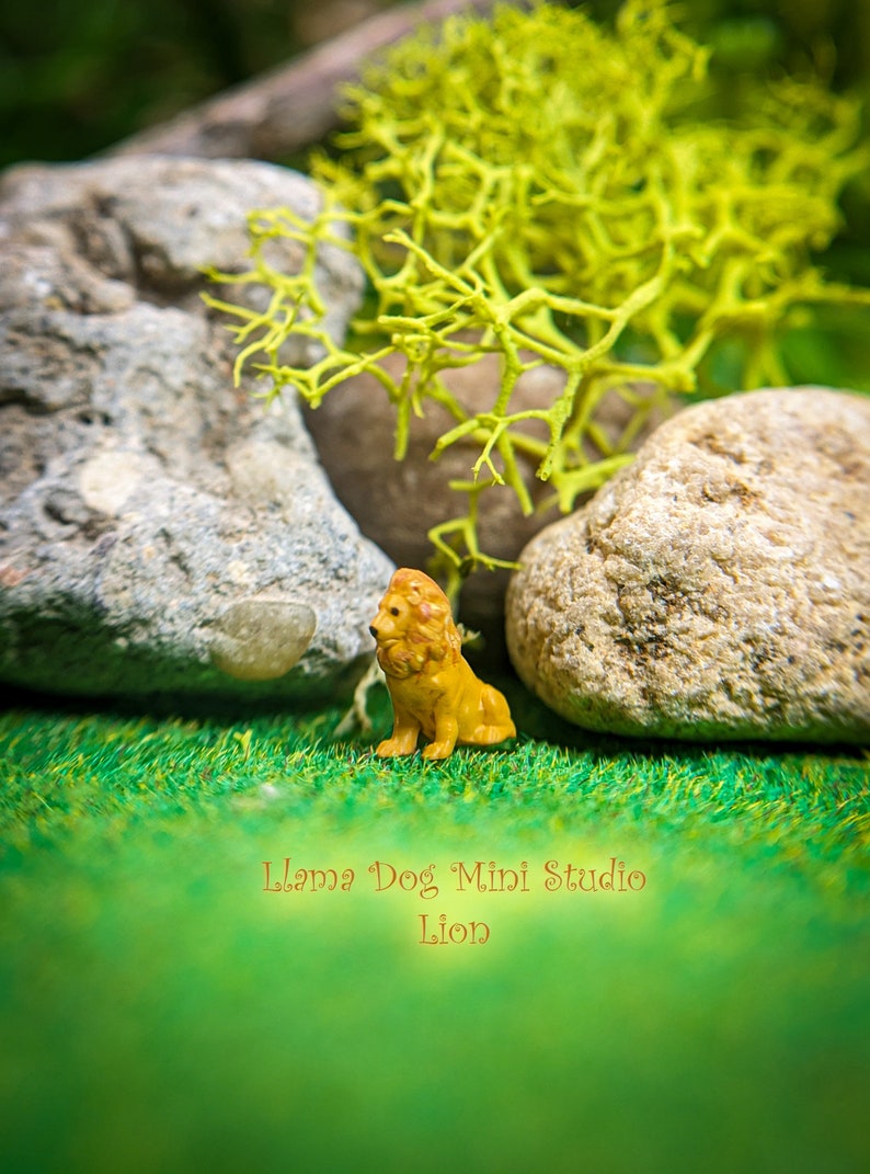 K&ouml;nnte beinhalten: Eine kleine, gelbe Plastik-L&ouml;wenfigur, die auf gr&uuml;nem Gras mit Steinen und gr&uuml;nem Moos im Hintergrund sitzt. Der Text "Llama Dog Mini Studio Lion" ist unterhalb der Figur sichtbar.