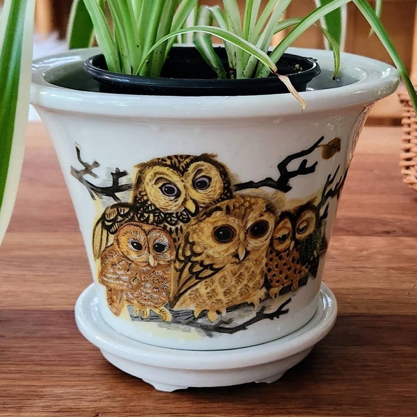 Owl Flower Pot Etsy