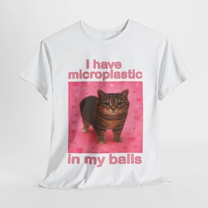 I Have Microplastics in my Balls Funny Cat Meme T-shirt, Gift for Woman, Ironic Cats Shirt, Stupid Silly Gifts, Goofy Ahh Cat Tee Shirt Gift