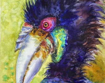 Hercules Original Oil Painting the Indian Hornbill