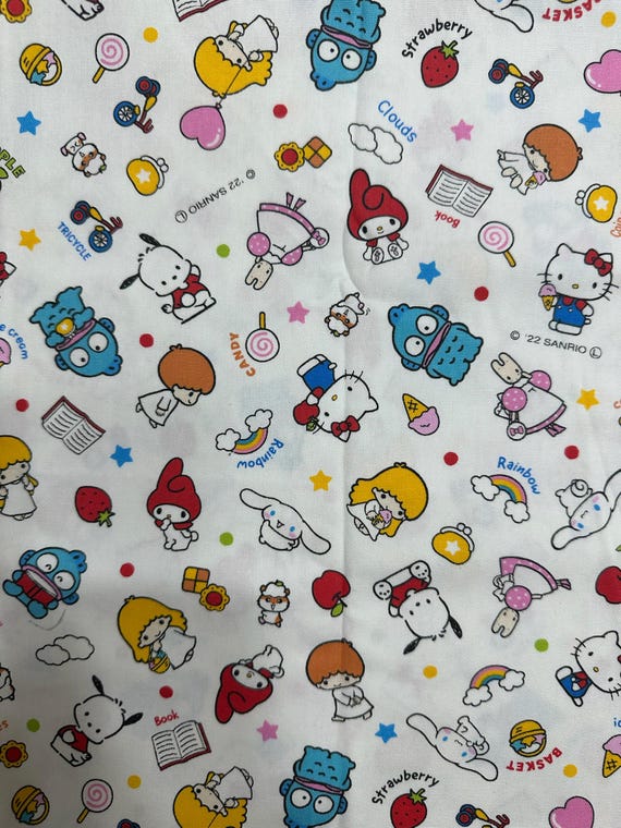 CANVAS - Sanrio Character & Icons (Hello Kitty, My Melody, Cinnamaroll,  etc.)