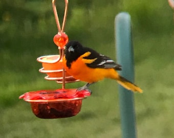 Double Staggered Oriole Feeder