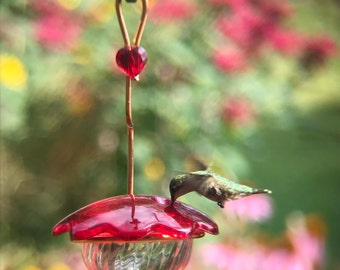 Hummingbird feeder 3oz.