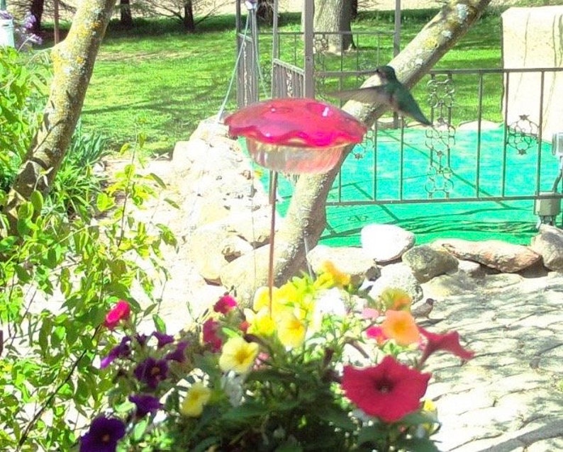 Flower Pot Hummingbird Feeder image 3