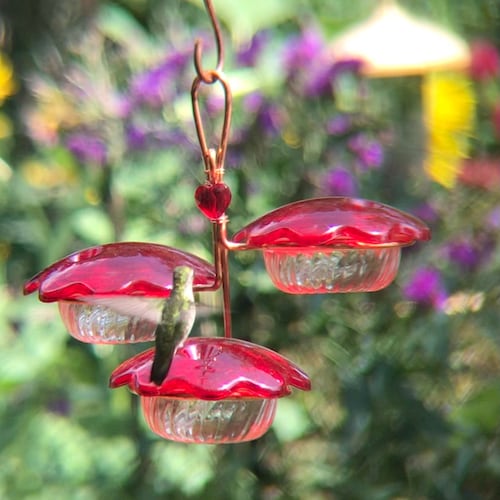 Hummingbird Feeder HB1 by Peter's Feeders the Unique Etsy
