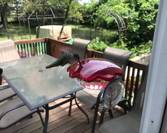 Window Hummingbird Feeder