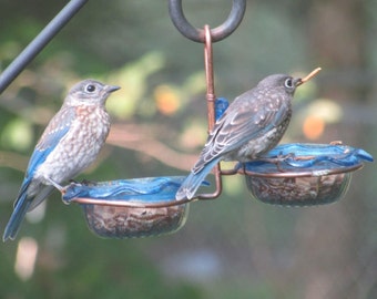 Bluebird feeder Double