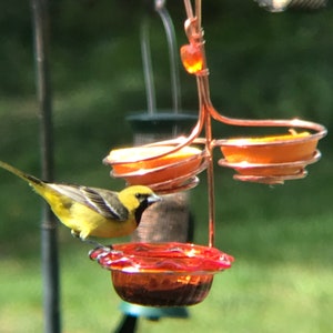 Triple Oriole Feeder