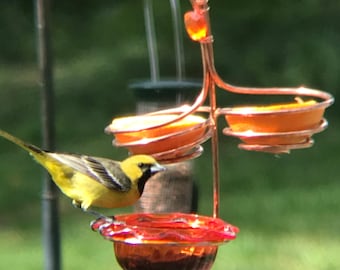 Triple Oriole Feeder