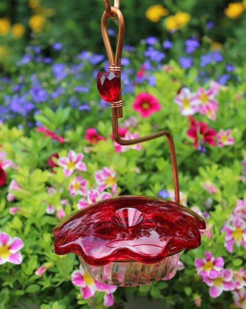 Hummingbird Feeder 3oz. Etsy