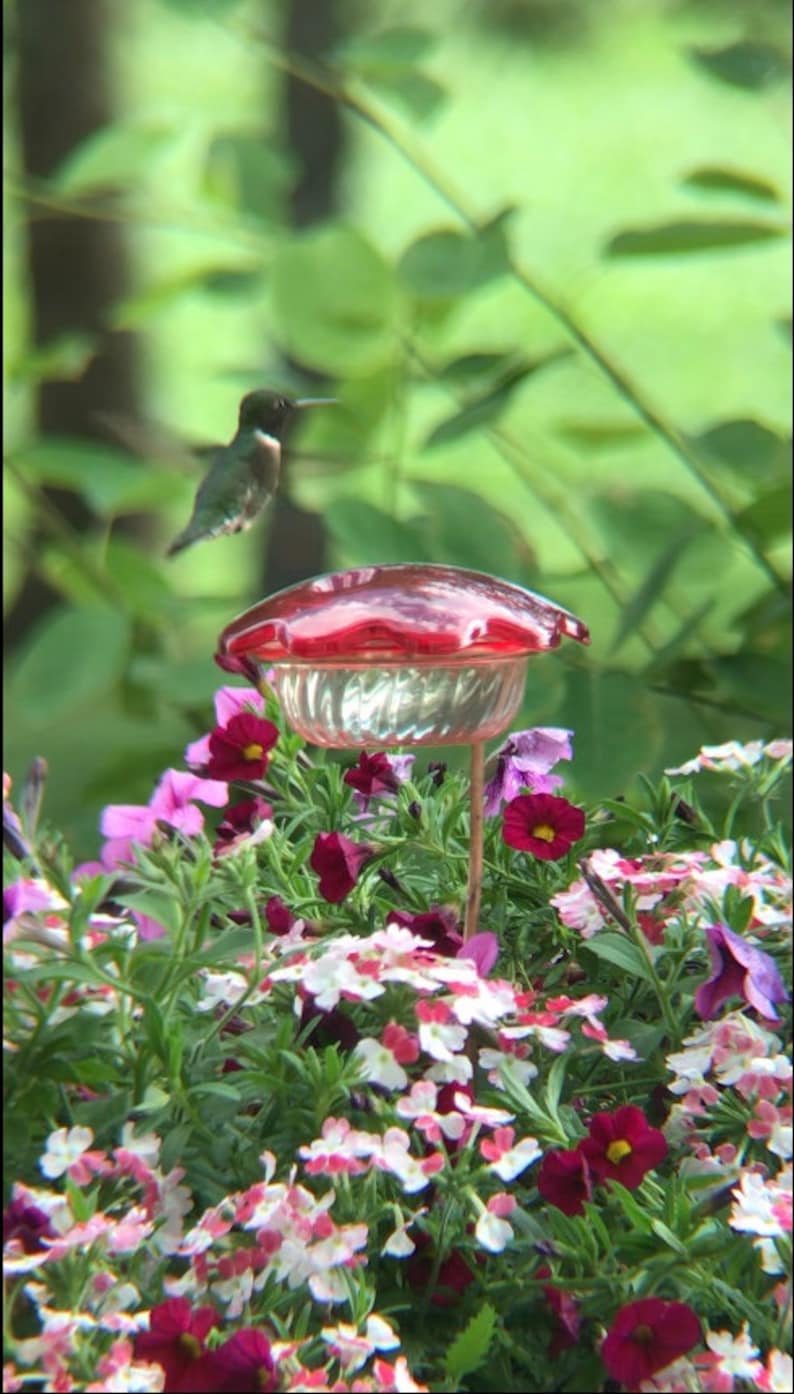 Flower Pot Hummingbird Feeder image 4
