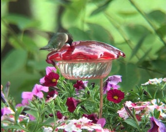 Flower Pot Hummingbird Feeder