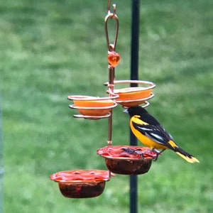 Oriole feeder Quad