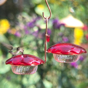 Hummingbird Feeder 6oz