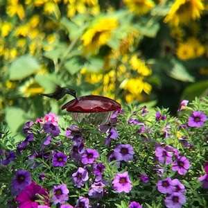 Flower Pot Hummingbird Feeder image 10