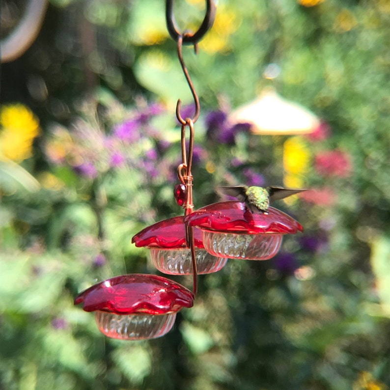 Hummingbird Feeder 9oz Etsy