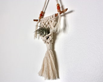 Macrame, air plant included, air plant holder and wall hanging