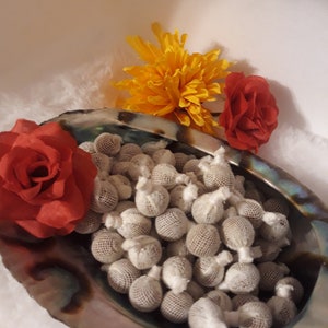 K&ouml;nnte beinhalten: Nahaufnahme einer Muschelschale, die mit kleinen, wei&szlig;en, netzbedeckten Kugeln gef&uuml;llt ist. Die Schale ist von gelben und roten Blumen umgeben.