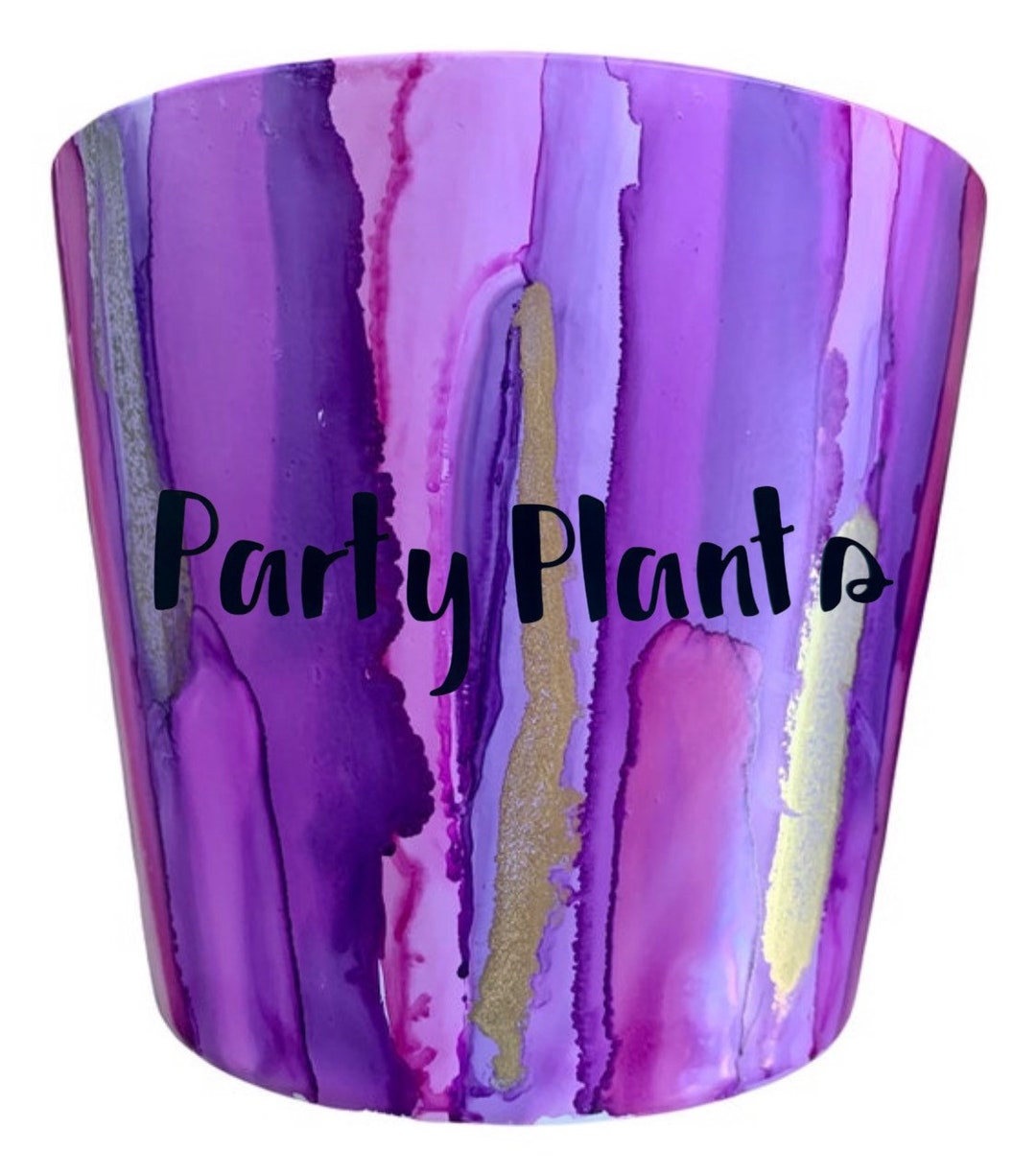 Ceramic Plant Pot Personalised Option Carnival Etsy