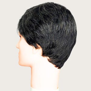 Gray Wig for Men - Mixed Silver Fringe, Synthetic Cosplay Costume, Man Daily Wear, Glueless Wigs