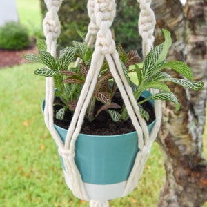 May include: A hanging macrame plant holder with a teal and white pot filled with green and pink-veined plants. The off-white macrame has a knotted design and a tassel at the bottom. The image is taken outdoors with a blurred green background.