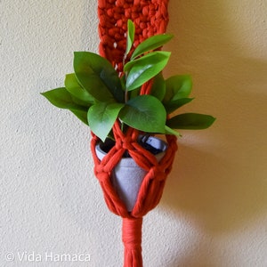 May include: A handmade macrame plant hanger in a vibrant red color. The hanger cradles a small gray pot with a green leafy plant. The design features intricate knotting and a textured appearance, perfect for indoor decor.