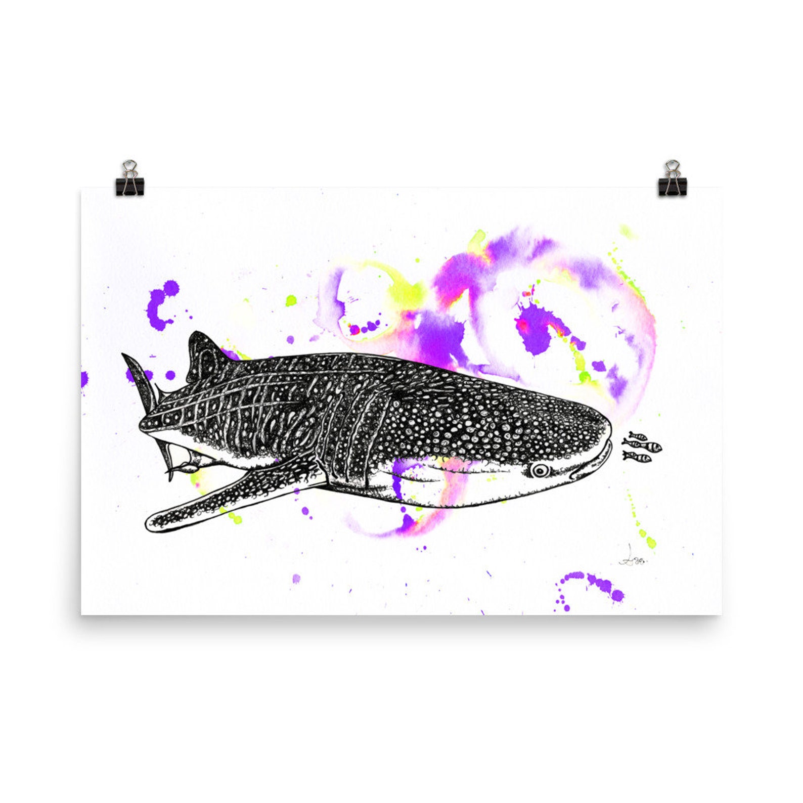 Whale shark life cycle image