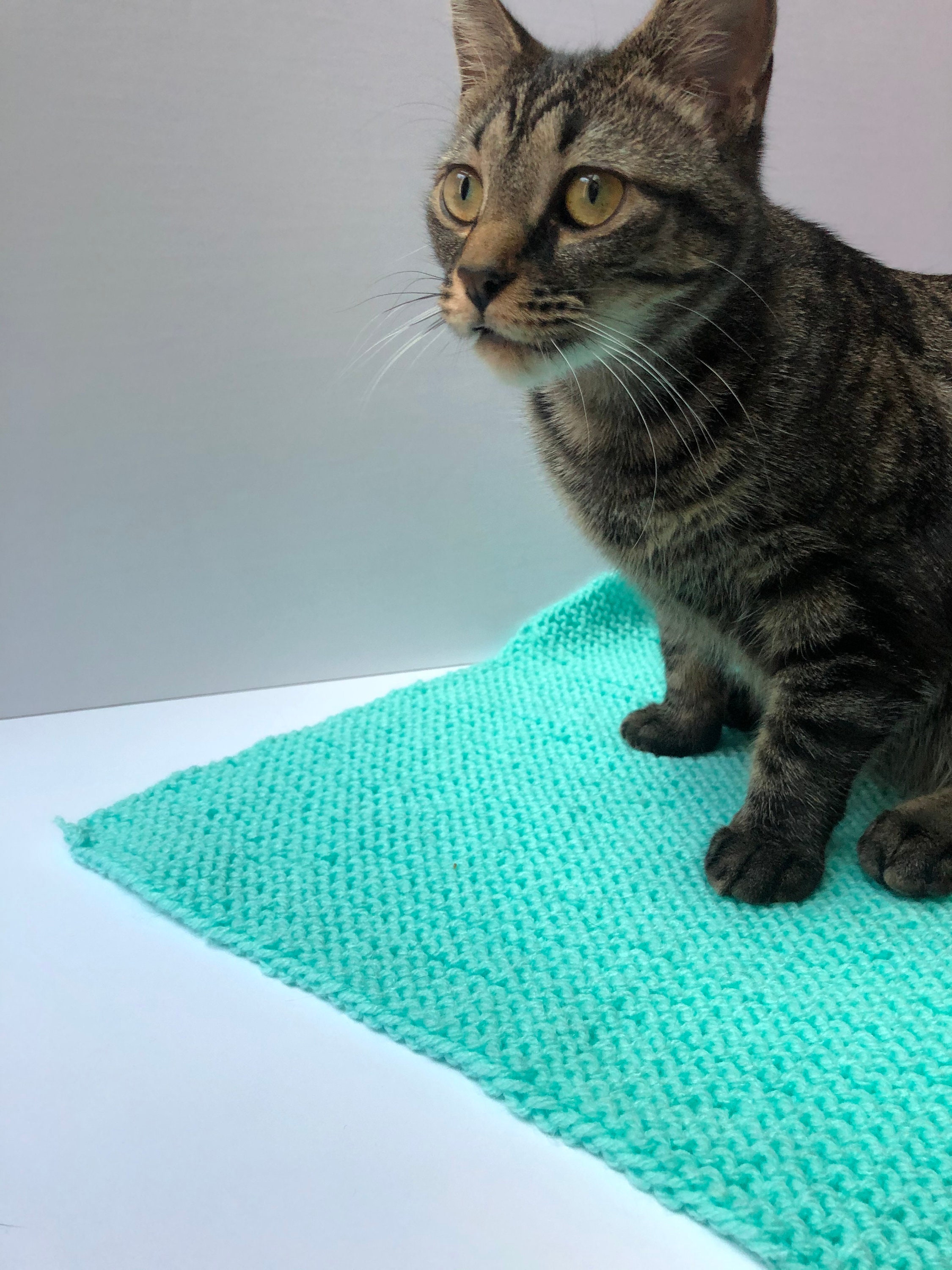Blanket For Cats Blanket for Kittens Hand Knit Cat Blanket Etsy