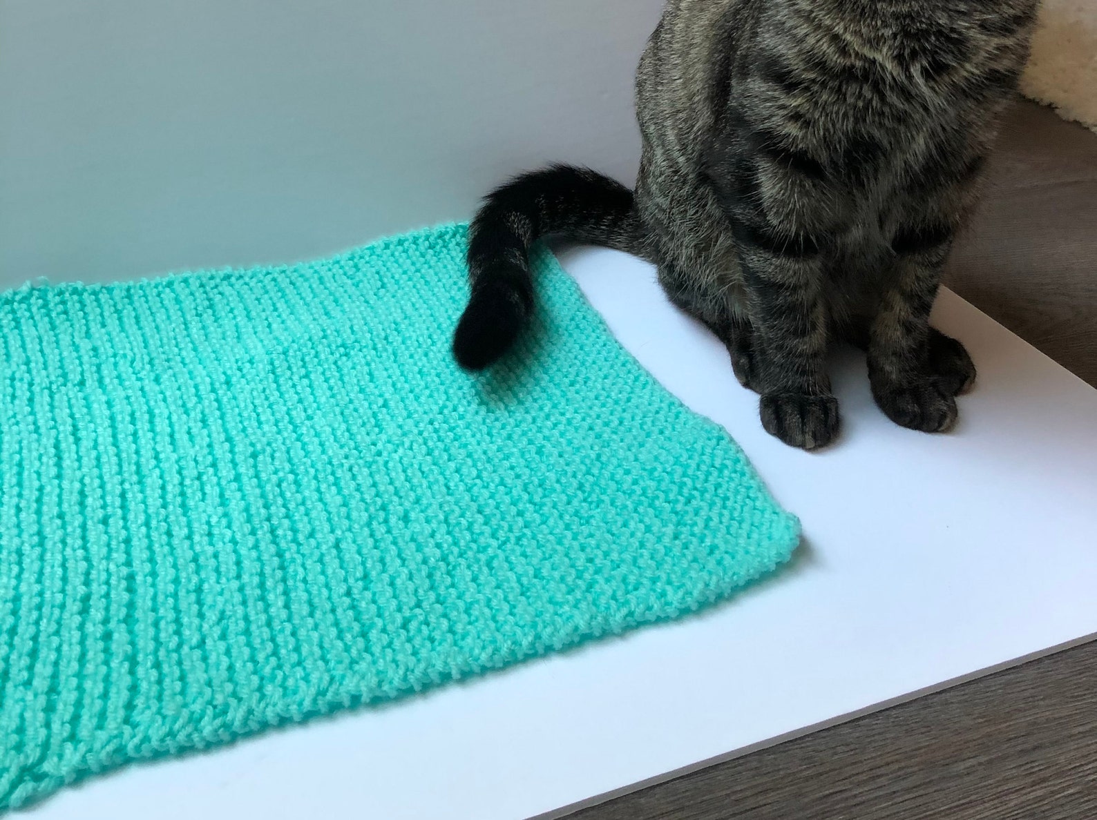 Blanket For Cats Blanket for Kittens Hand Knit Cat Blanket Etsy