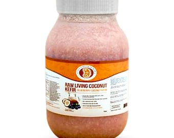 Este pollito es kéfir de leche de coco crudo de arándanos crudos