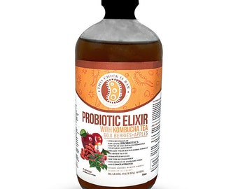 This Chick Is Raw Goji Berry Probiotic Elixir w/ Kombucha Tea